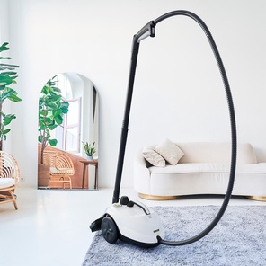 Пароочиститель Ramicom RSC2000