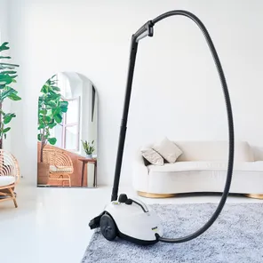 Пароочиститель Ramicom RSC2000